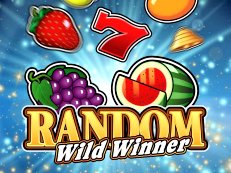 Random Wild Winner gokkast
