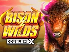 Bison Wilds DoublemaX gokkast reflex gaming